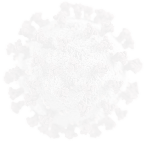 Sebrae Covid-19 Toolbox Virus